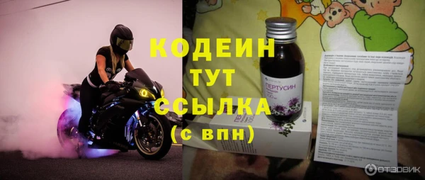 соль ск Вяземский