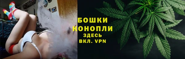 соль ск Вяземский