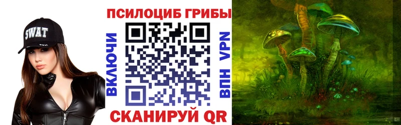 блэк спрут ссылка  Кострома  Псилоцибиновые грибы Magic Shrooms 